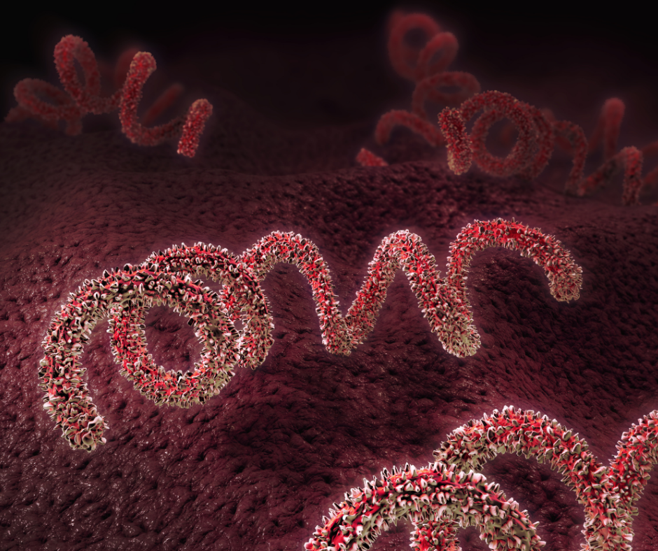 Rising Severe Syphilis Symptoms: Global Atypical Cases Reported