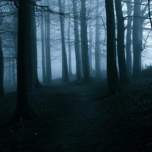 Haunted Hoia-Baciu Forest: UFOs & Twisted Trees