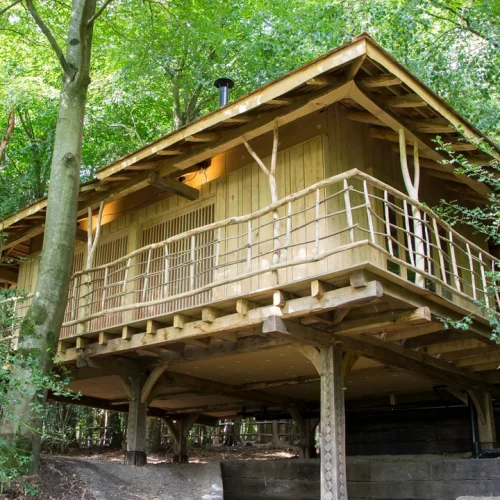 Sussex Forest Cabins and Sauna Retreat: Cozy Winter Escape