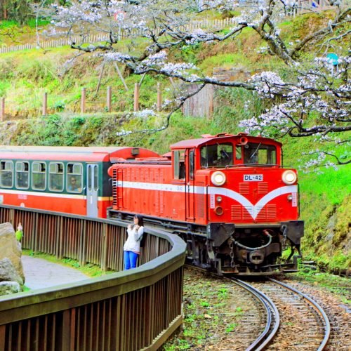 Alishan Forest Railway Taiwan: A Journey Reborn