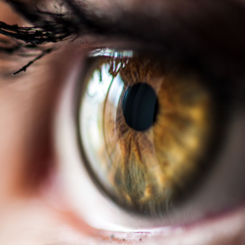 Childhood Heart Health: Predicting Adult Eye and Heart Risk