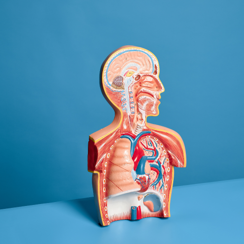 EVALI Lung Injury: Risks, Vaping Effects, and Prevention