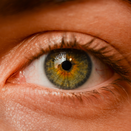 Eye Exams Lung Risk: Early Detection Through Eye Health Signals