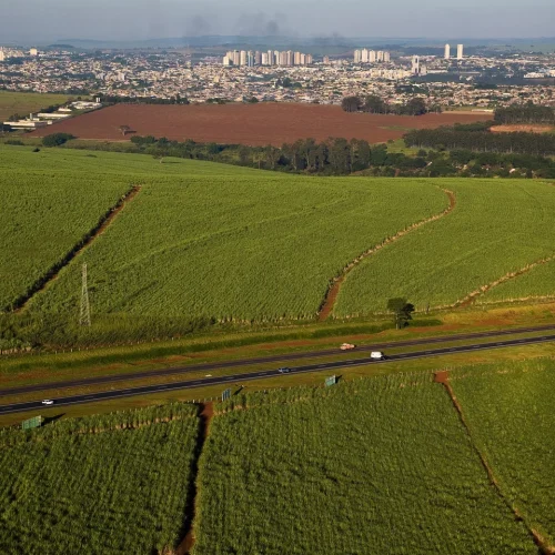 Brazil COP30 Fuels Pledge Raises Global Concerns