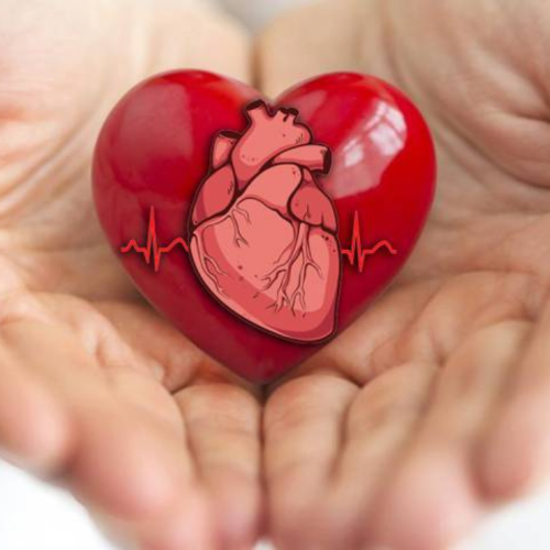 Heart Attack Symptoms in Adults: Causes & Risks