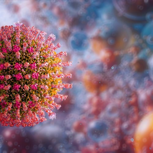 Measles Case in Queenstown: New Zealand on Alert