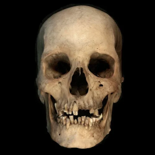 Ancient DNA Egypt: New Findings Rewrite Civilization’s Origins