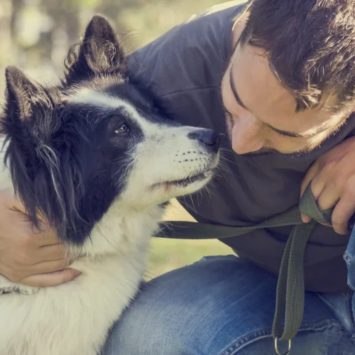 Humanish Review: What Pets Reveal About Our Minds