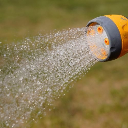 Anglian Water Hosepipe Ban: Summer Restrictions Possible