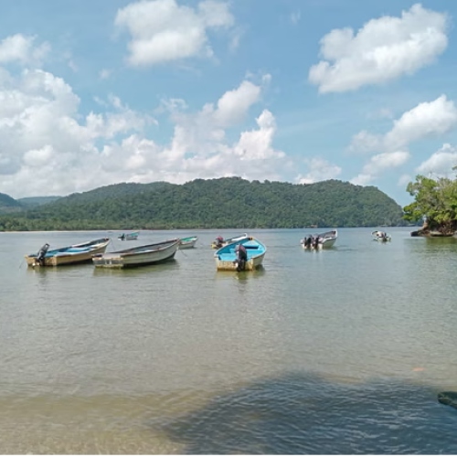 US Strike on Suspected Drug Vessel Leaves Survivors Alive