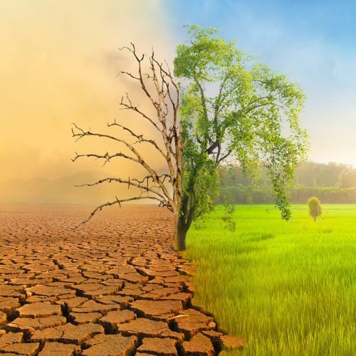 slow-moving global catastrophe worsens as droughts spread