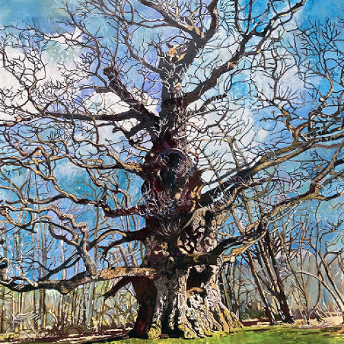 Ancient British Trees Star in New London Art Exhibit