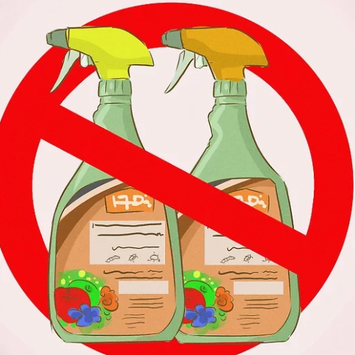 Pesticide Harm to Wildlife Rising Worldwide, Study Warns