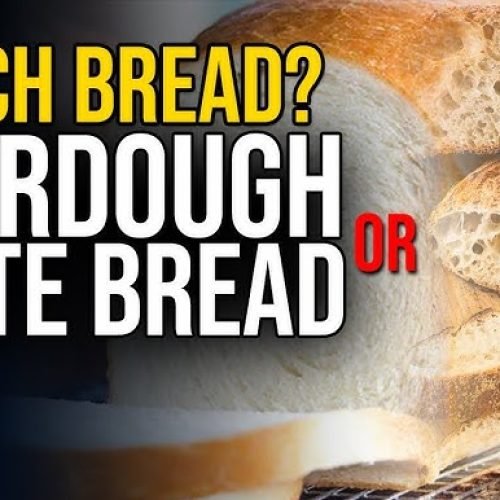 Sourdough vs White Bread: Which Is Healthier for You?