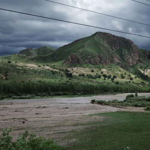 Nature Loss Security Risk: Ecosystem Collapse Threat