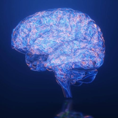 Dopamine Deficit Symptoms: How to Reset Your Brain Naturally