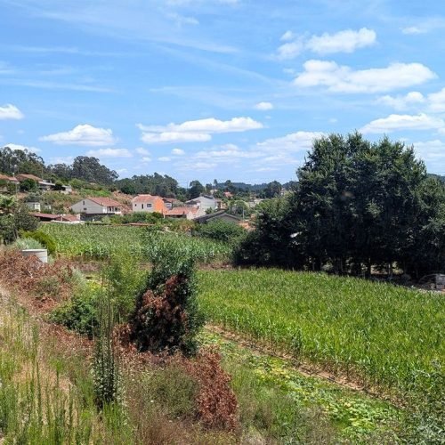 Diesel Train Ride Through Portugal: A Journey Back in Time