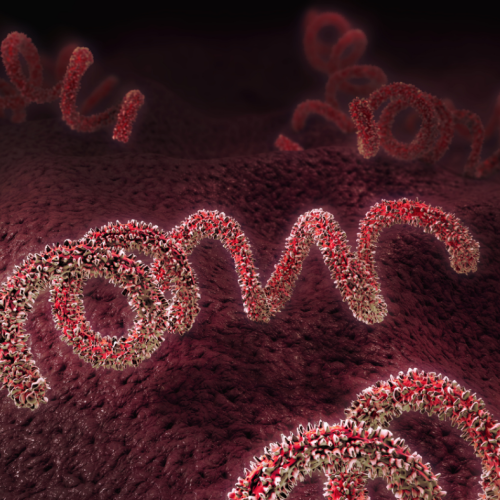 Rising Severe Syphilis Symptoms: Global Atypical Cases Reported