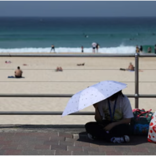 Sydney Blistering Weather Heat Sparks Fire and Wind Alerts