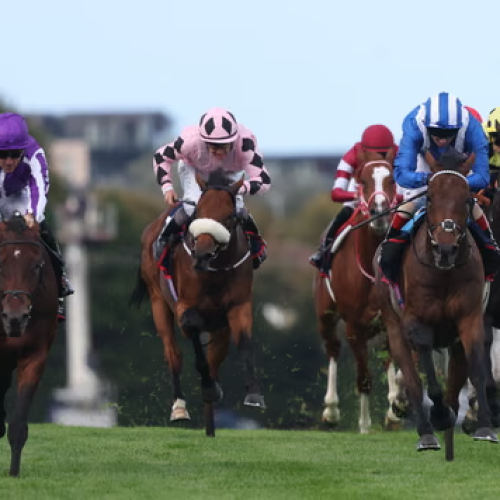 Champion Stakes Ascot Status: Big Race, Bigger Challenge