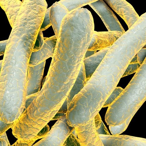 Long Beach Tuberculosis News: Emergency Declared