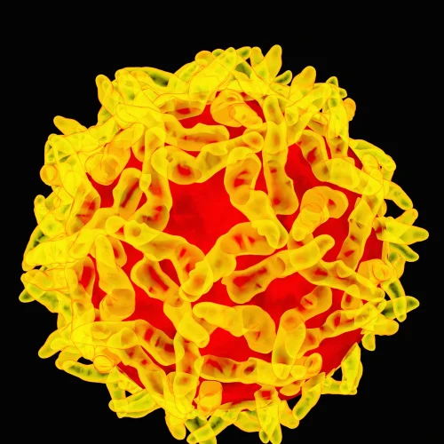 Yellow Fever in Colombia: Outbreak, Risks, and Prevention